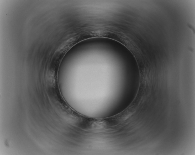 X0000099540599200805161429
