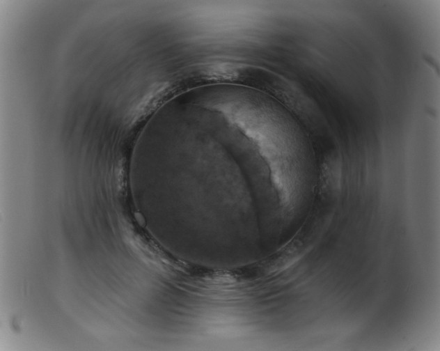 X0000099540600200805161429