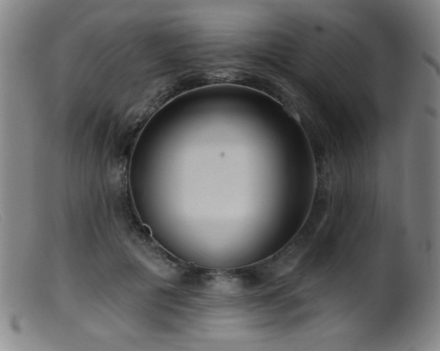 X0000099540601200805161429