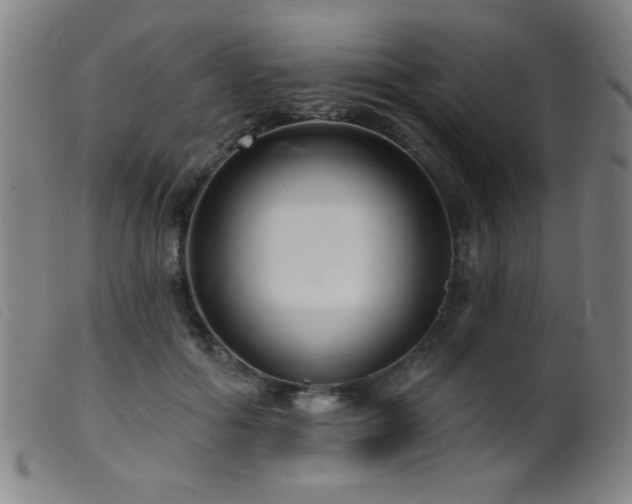 X0000099540602200805161429