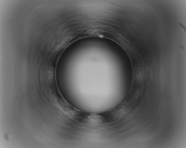 X0000099540603200805161429