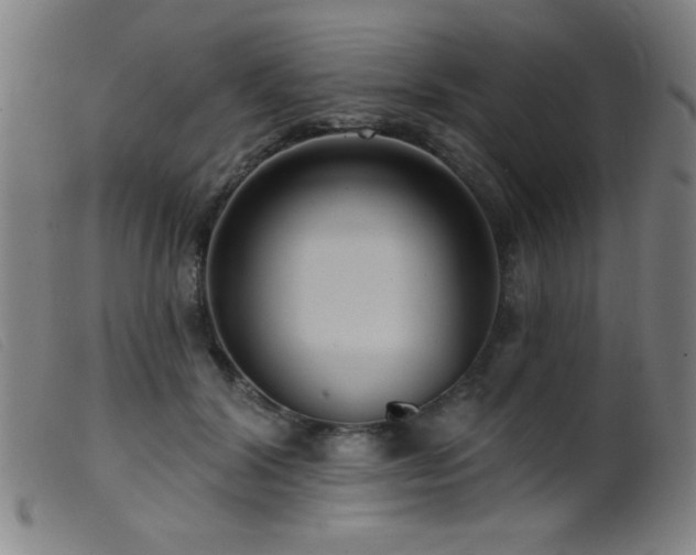 X0000099540604200805161429