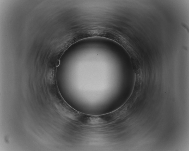 X0000099540605200805161429