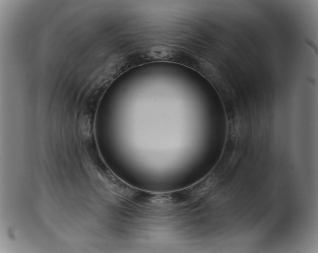 X0000099540606200805161429