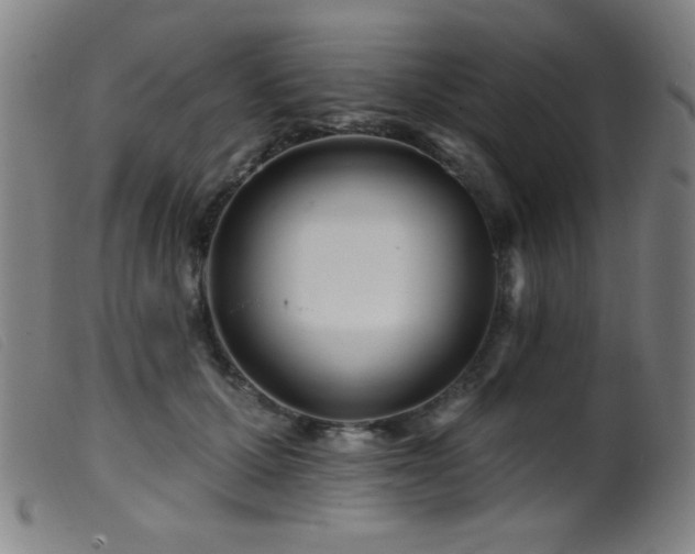 X0000099540607200805161429