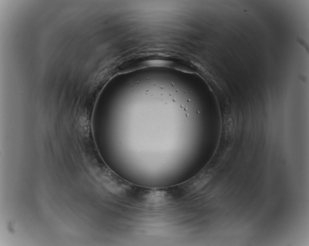 X0000099540609200805161429