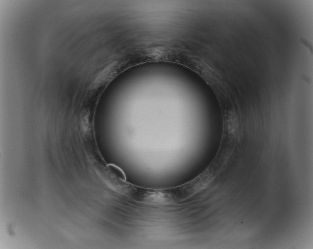 X0000099540611200805161429