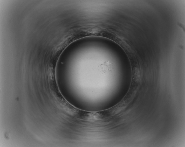 X0000099540612200805161429
