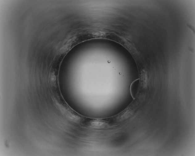 X0000099540614200805161429