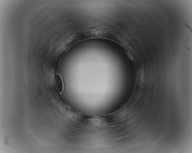 X0000099540615200805161429