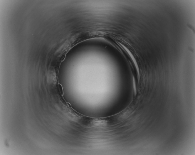 X0000099540617200805161429
