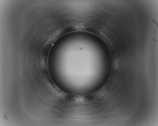 X0000099540618200805161429