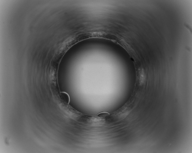 X0000099540619200805161429
