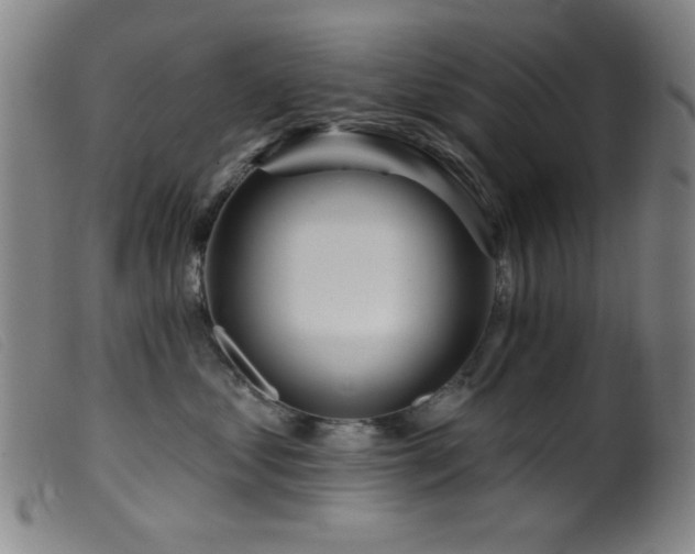X0000099540621200805161429
