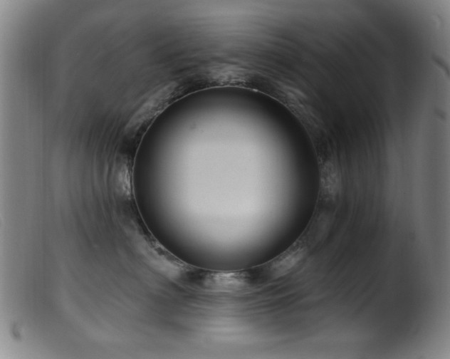 X0000099540622200805161429