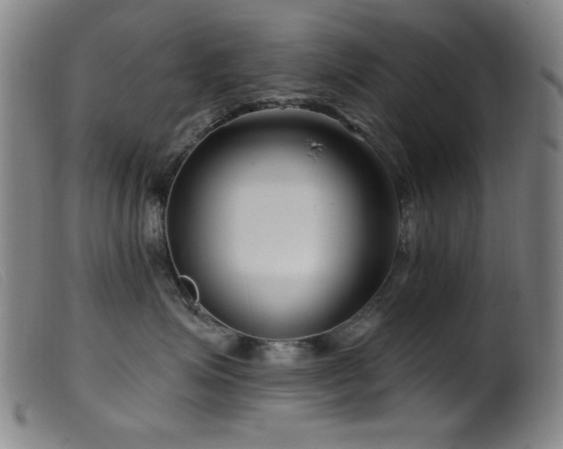 X0000099540623200805161429