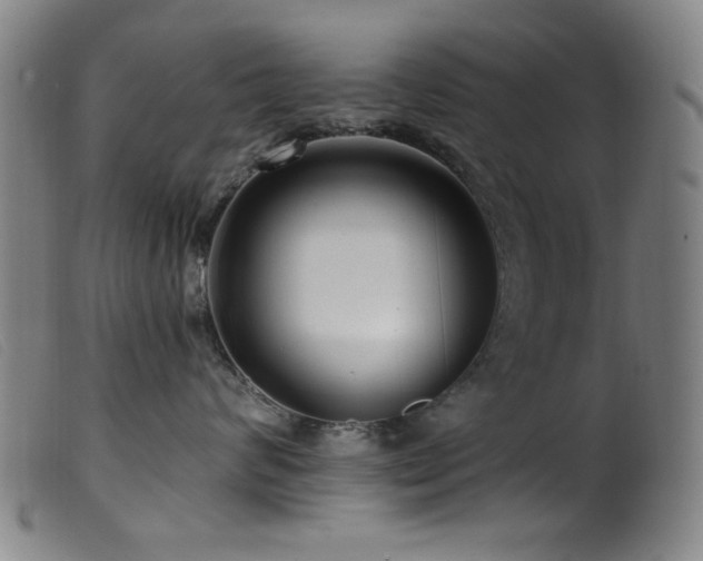 X0000099540624200805161429