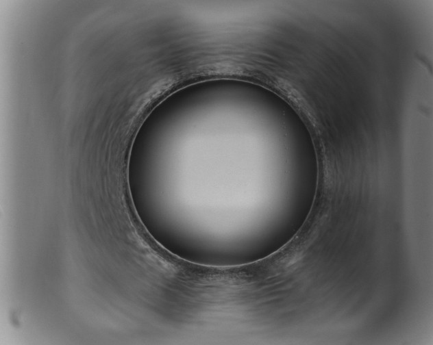 X0000099540625200805161428