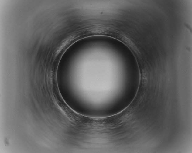 X0000099540626200805161428