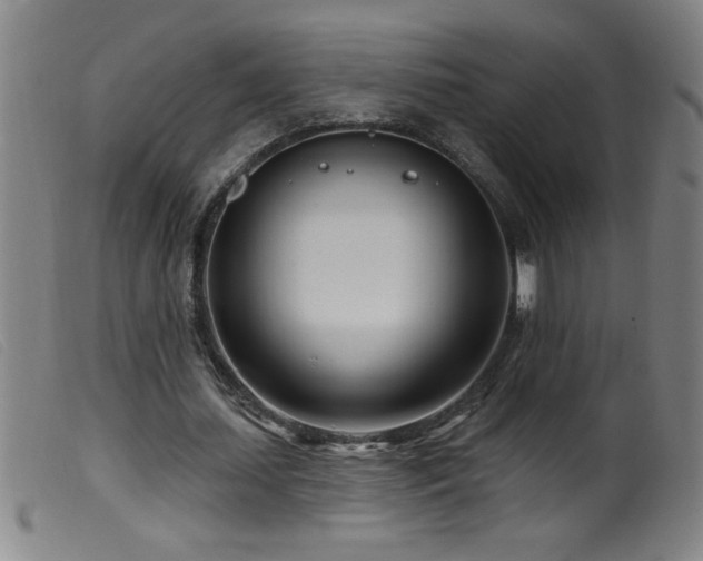 X0000099540627200805161428