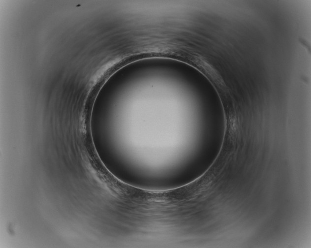 X0000099540628200805161428