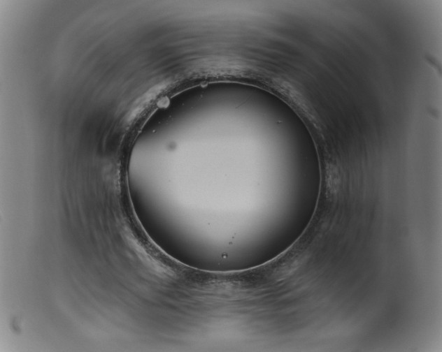 X0000099540629200805161428