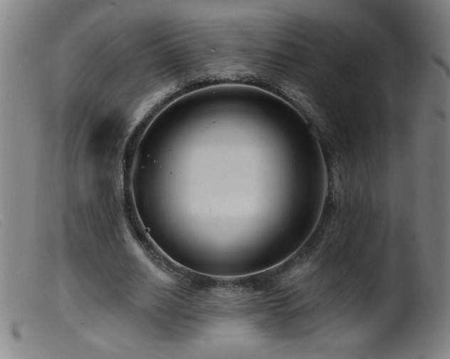 X0000099540630200805161428