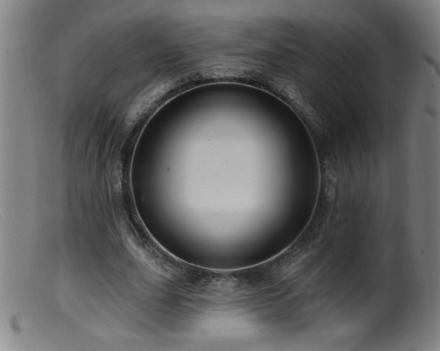 X0000099540631200805161428