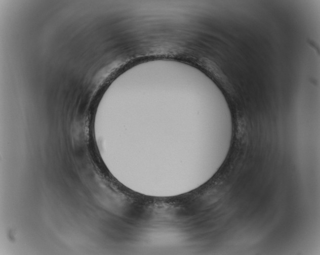 X0000099540632200805161428