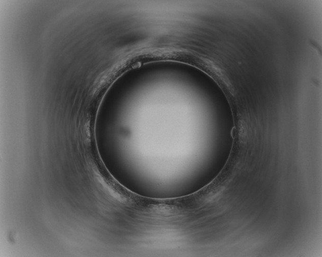 X0000099540633200805161428