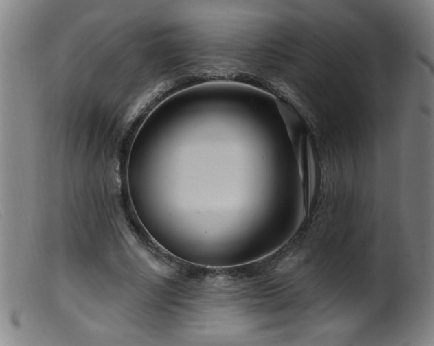 X0000099540634200805161428