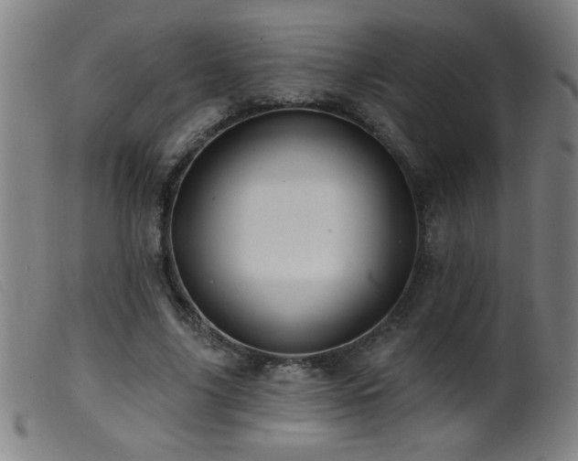 X0000099540635200805161428