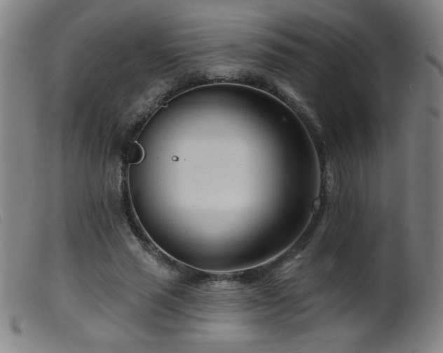 X0000099540637200805161429