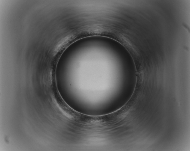 X0000099540638200805161429