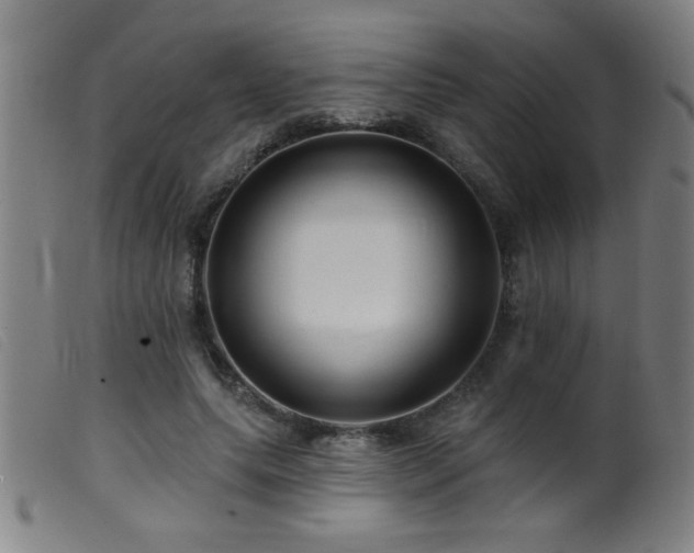 X0000099540639200805161429