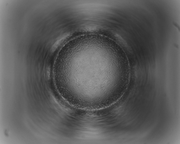 X0000099540640200805161429