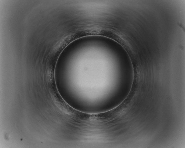 X0000099540641200805161429