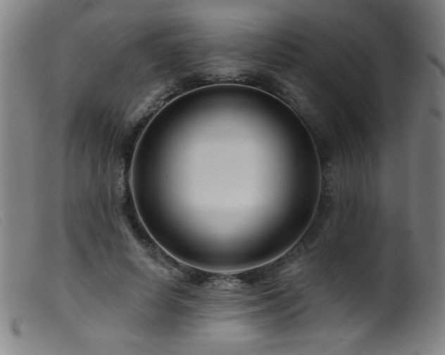 X0000099540642200805161429