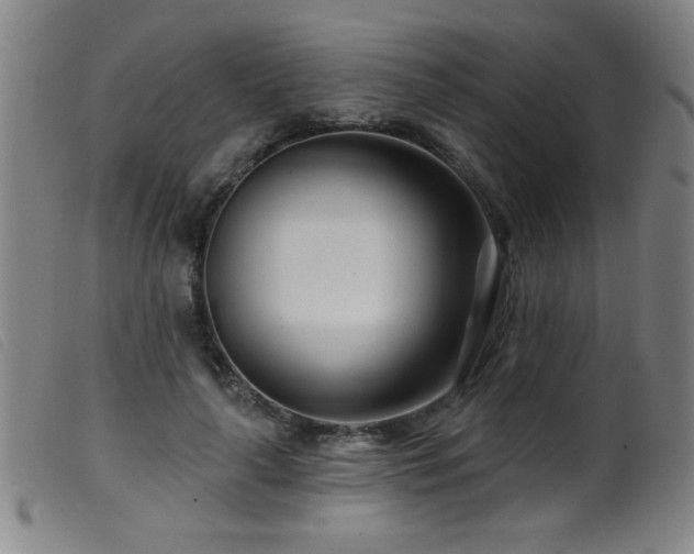 X0000099540643200805161429