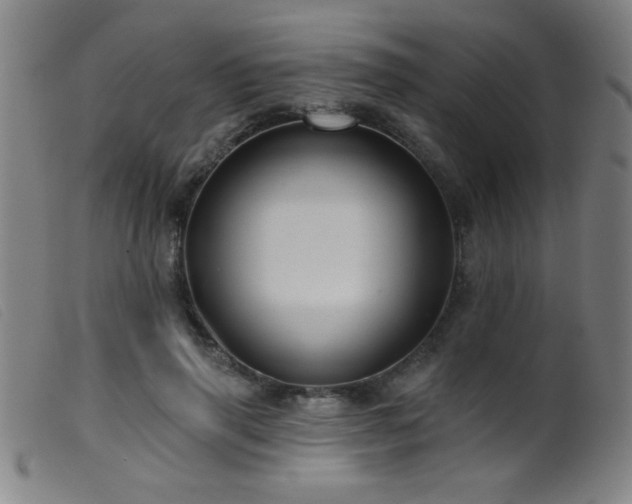 X0000099540645200805161429