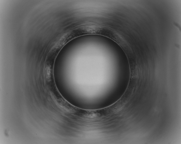 X0000099540646200805161429