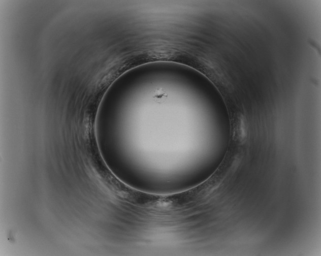 X0000099540647200805161429