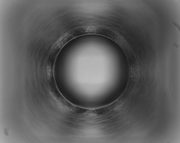 X0000099540648200805161429
