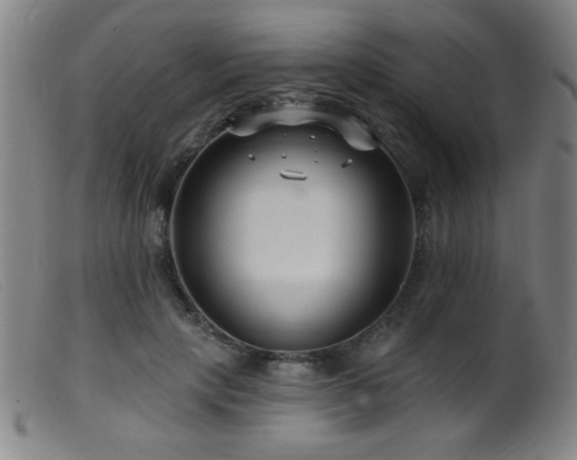 X0000099540649200805161429