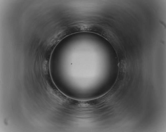 X0000099540650200805161429