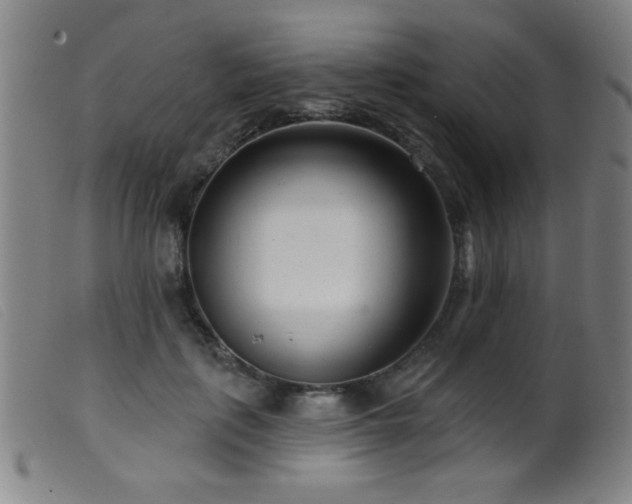 X0000099540651200805161429