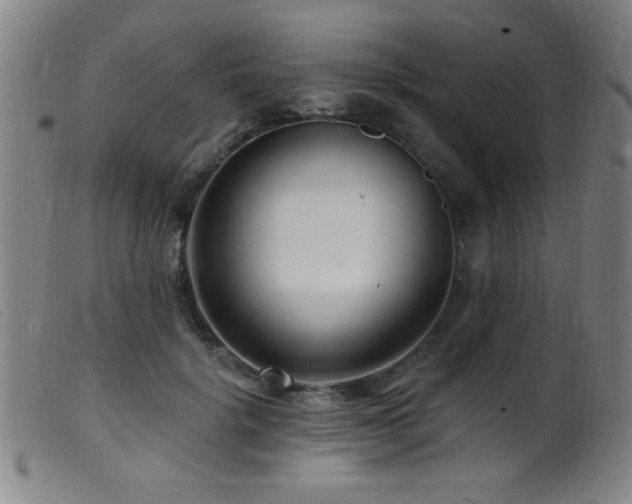 X0000099540652200805161429