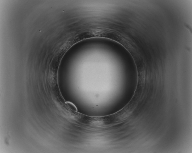 X0000099540653200805161429