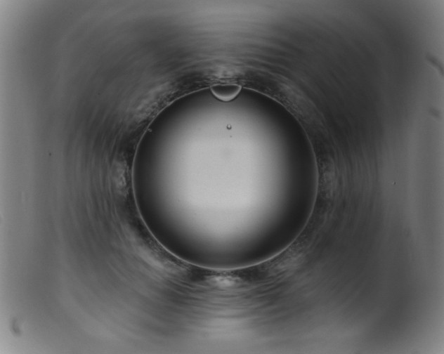 X0000099540654200805161429
