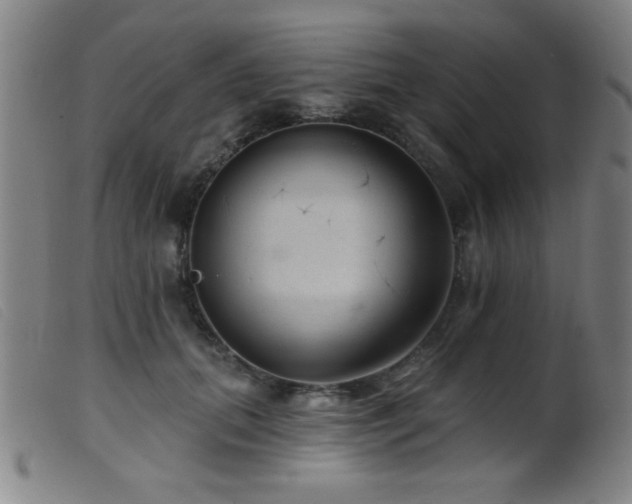 X0000099540655200805161429